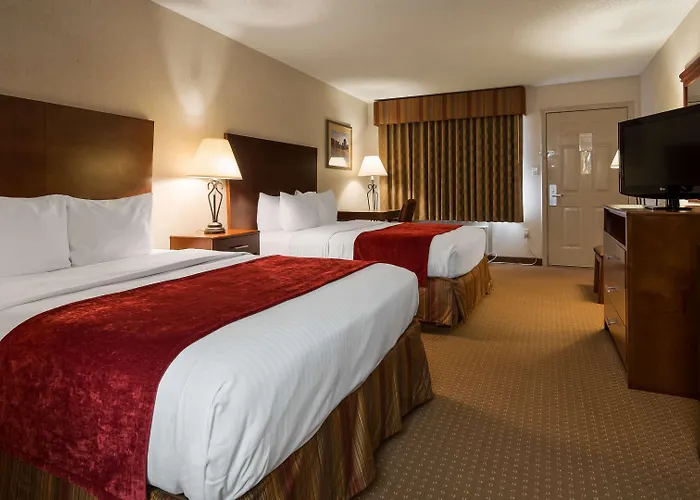 Hotel Western Gold Poppy Cortaro