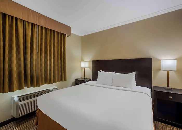 Western Gold Poppy Hotel Cortaro