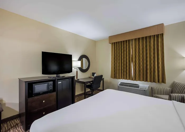 Western Gold Poppy Hotel