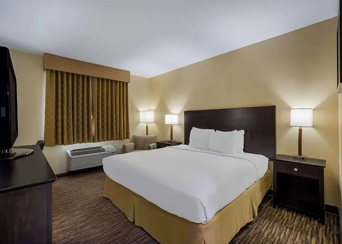 Hotel Western Gold Poppy